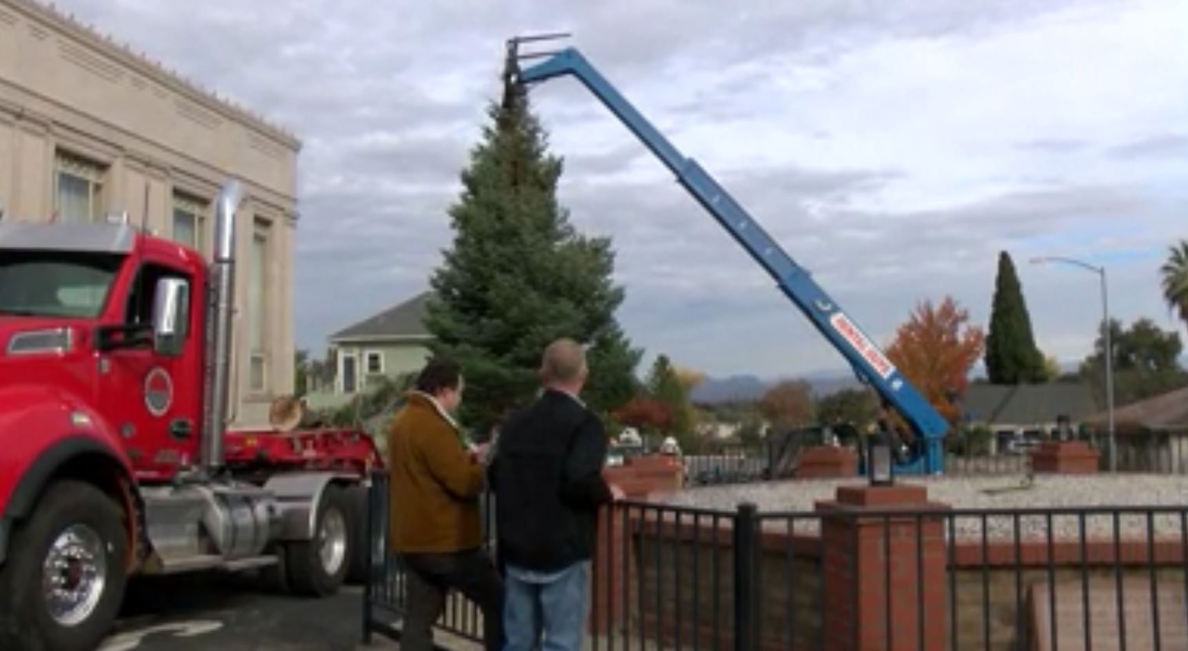 Red Bluff new Christmas tree 2